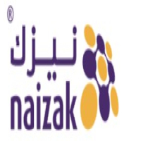 Naizak Global Engineering Systems