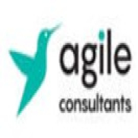  Agile Consultants