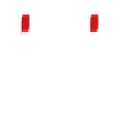 TRAIN-SF