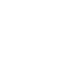 AL SHIRAWI GROUP