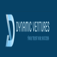 Dynamic Ventures LLC 