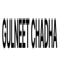 Gulneet Chadha