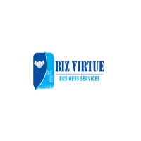 Biz Virtue LLC
