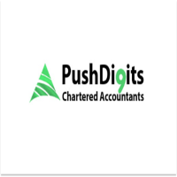 Push Digits Chartered Accountants