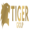 Tiger Contracting LLC