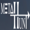 METAHUNT