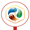 Fuel Trading LLC