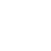 Emirates Airline