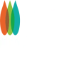 Woodlem Education