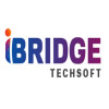 iBridge TechSoft 
