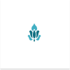 Shriji Trading FZCO