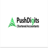 Push Digits Chartered Accountants