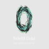 NicheHR Global 