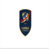 Nayak International